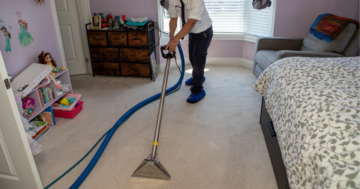 Professional Carpet Cleaning For Homes