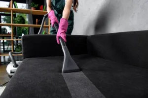 Furniture Regular Maintenance