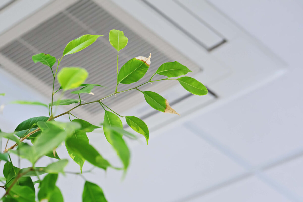 Indoor Air Quality Prestige Duct Cleaning
