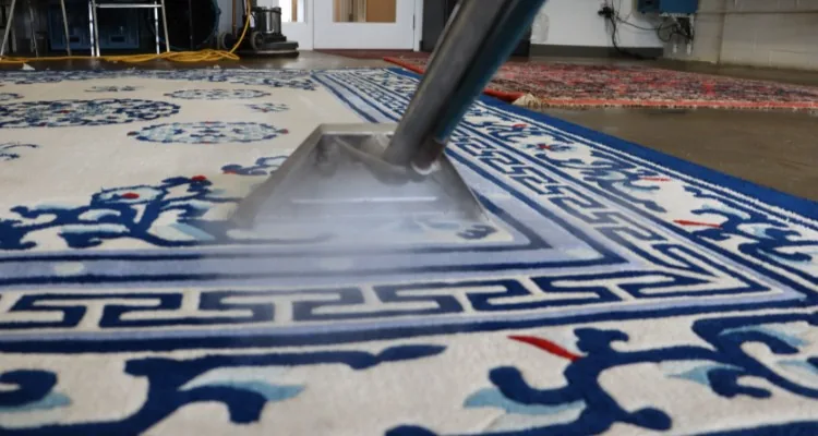 a close-up of a vacuum cleaner