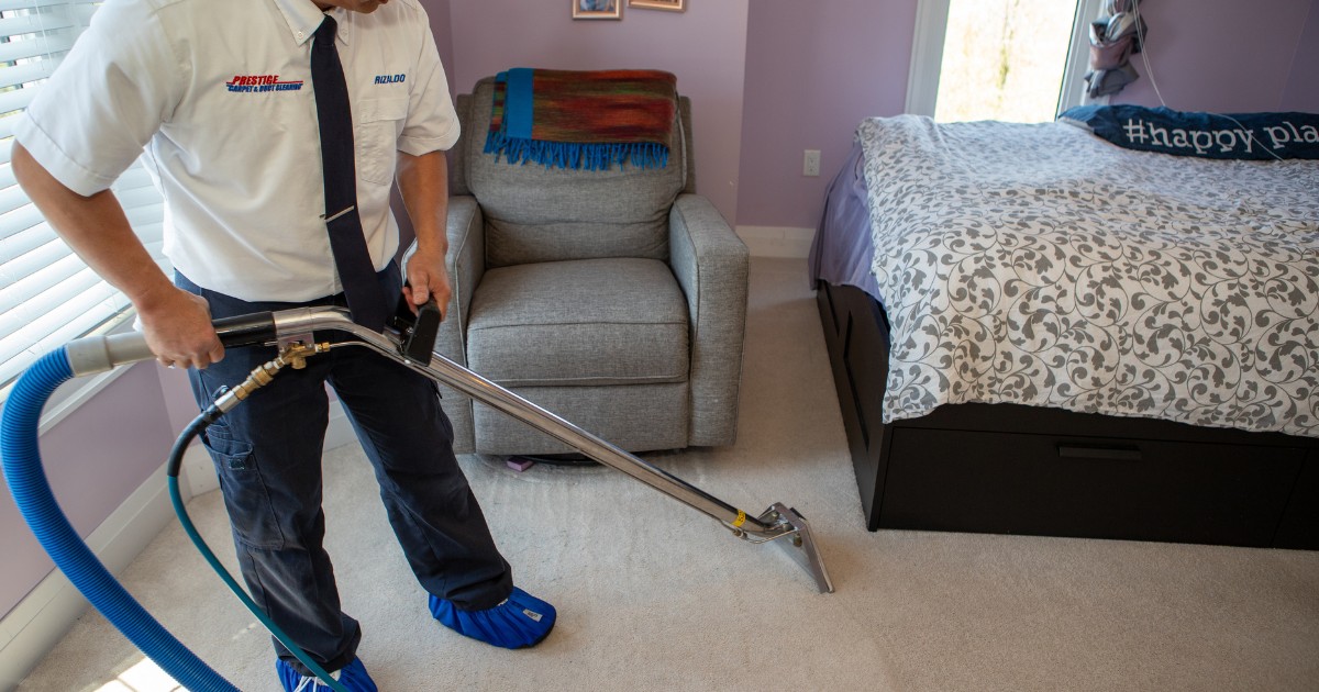 Area Rug Maintenance By Prestige Carpet Cleaners