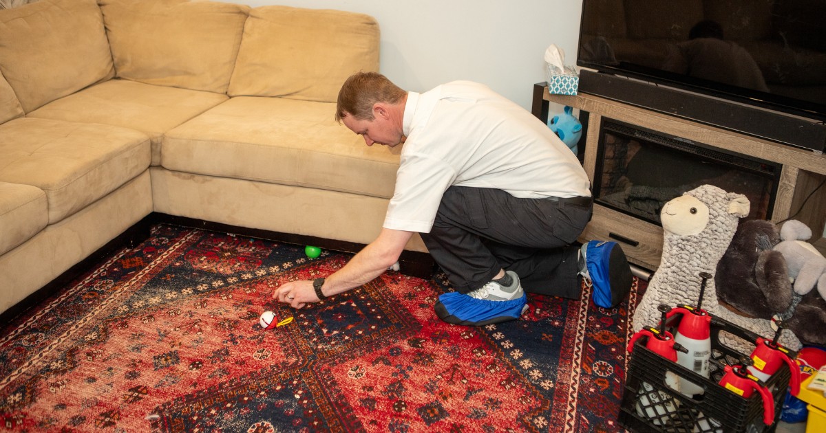 Professional Carpet Stain Cleaning In Progress