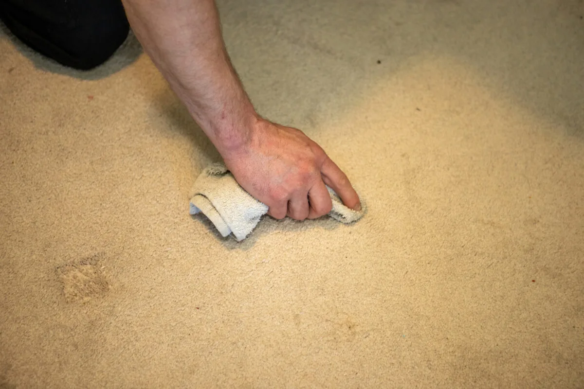 man using diy carpet stain removal method ★ Prestige Carpet Cleaning Man using white cloth and Prestige Carpet Cleaning recommended DIY carpet stain removal solution to clean carpet