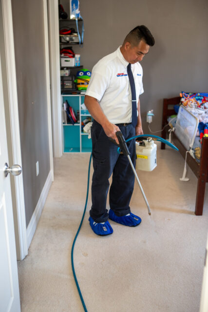 Prestige Carpet Cleaning technician removing carpet stains at Durham home