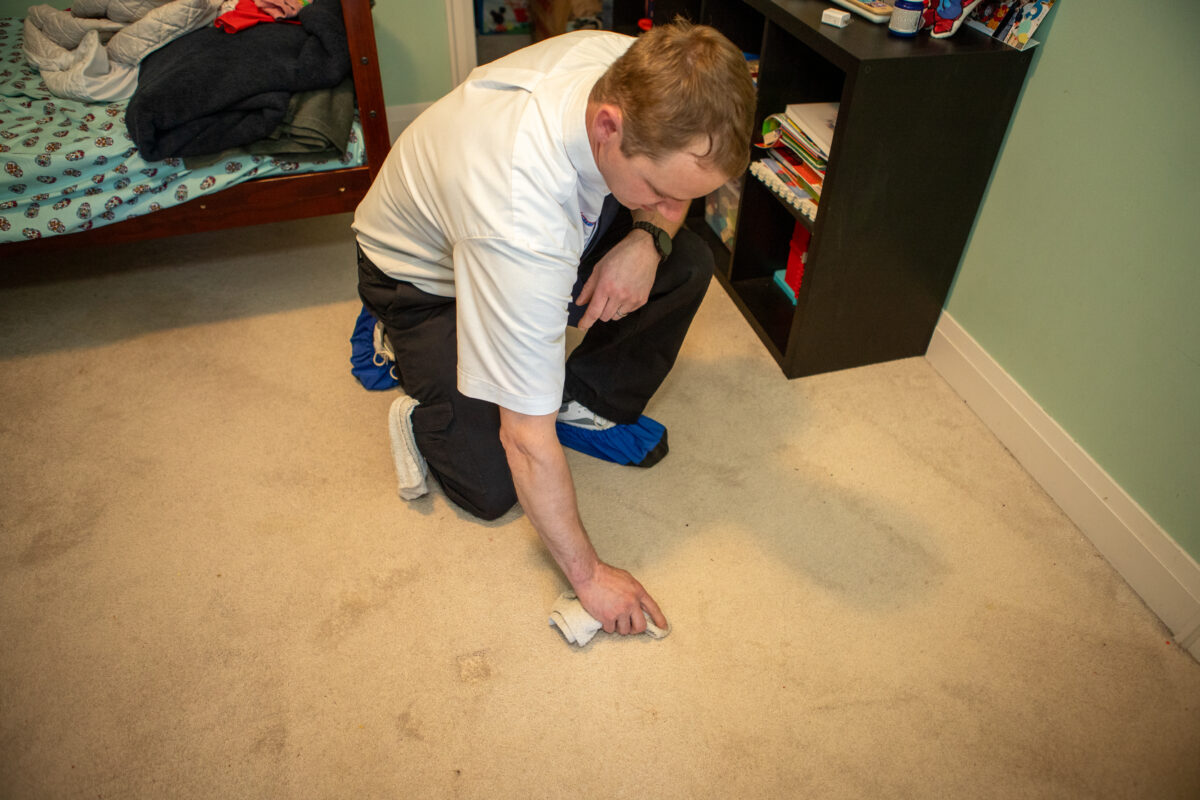 Prestige Carpet Cleaning technician removing stains on carpet using recommended carpet stain removal methods.